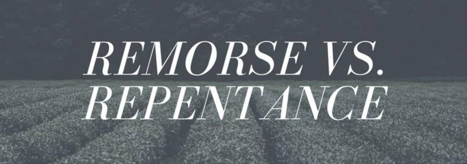 Remorse Or Repentance Counseling One Another 